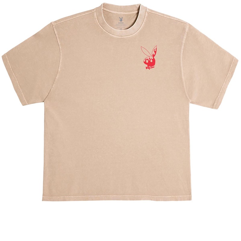 Color Bars x Playboy Flames 2.0 T-Shirt – Burro