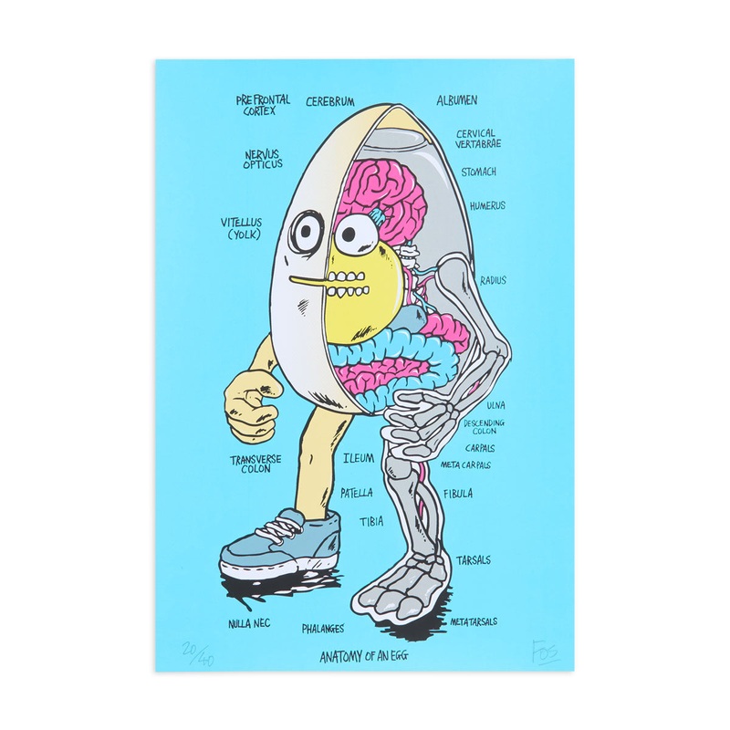 Pragmatic Prints x Fos Egg Print – Blue