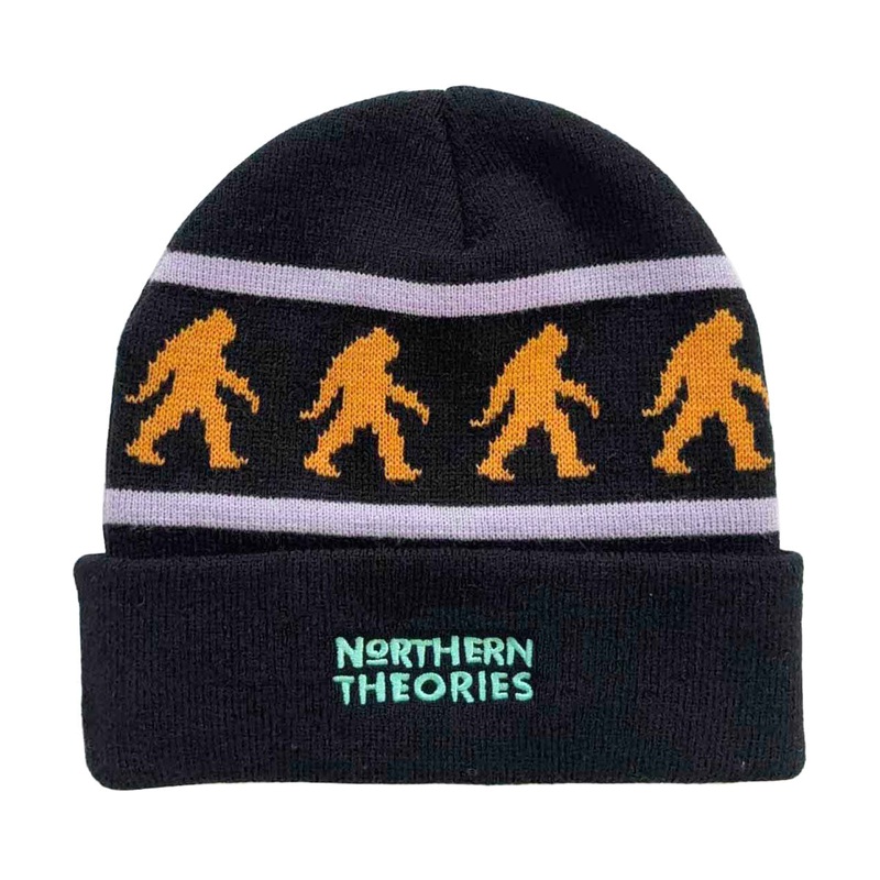 Theories Northern Theories Beanie – Black
