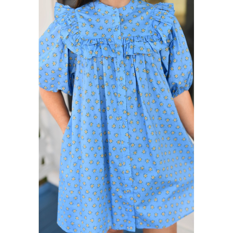 The Farish Dress in Blue
