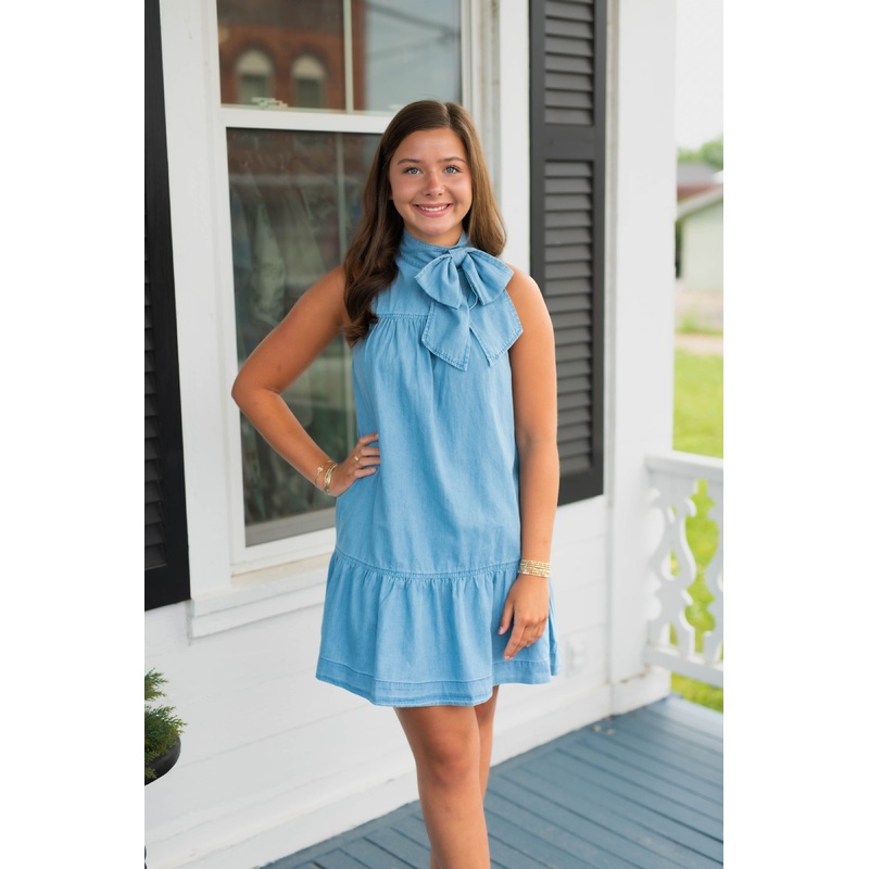 Skylah Denim Albie Bow Dress