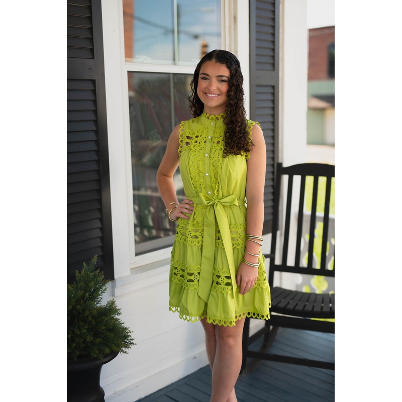 The Lime and Lace Dress