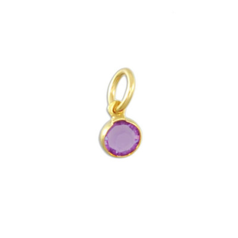 Classic Swarovski Birthstone in Gold- February