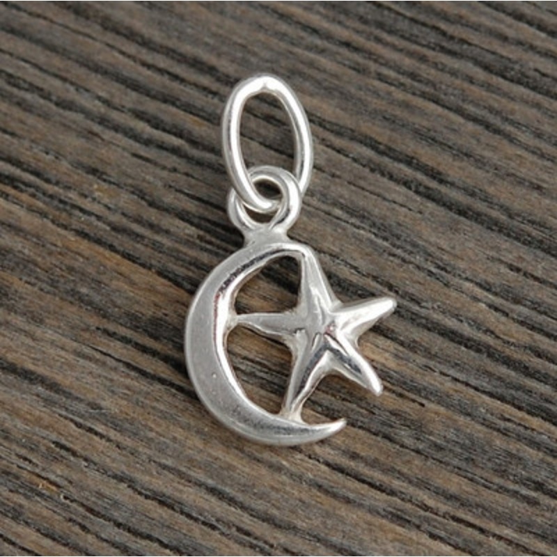 Moon with Star Charm
