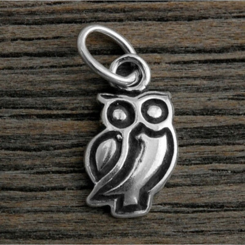 Owl Charm