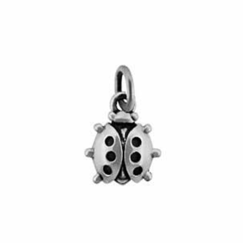Ladybug Charm