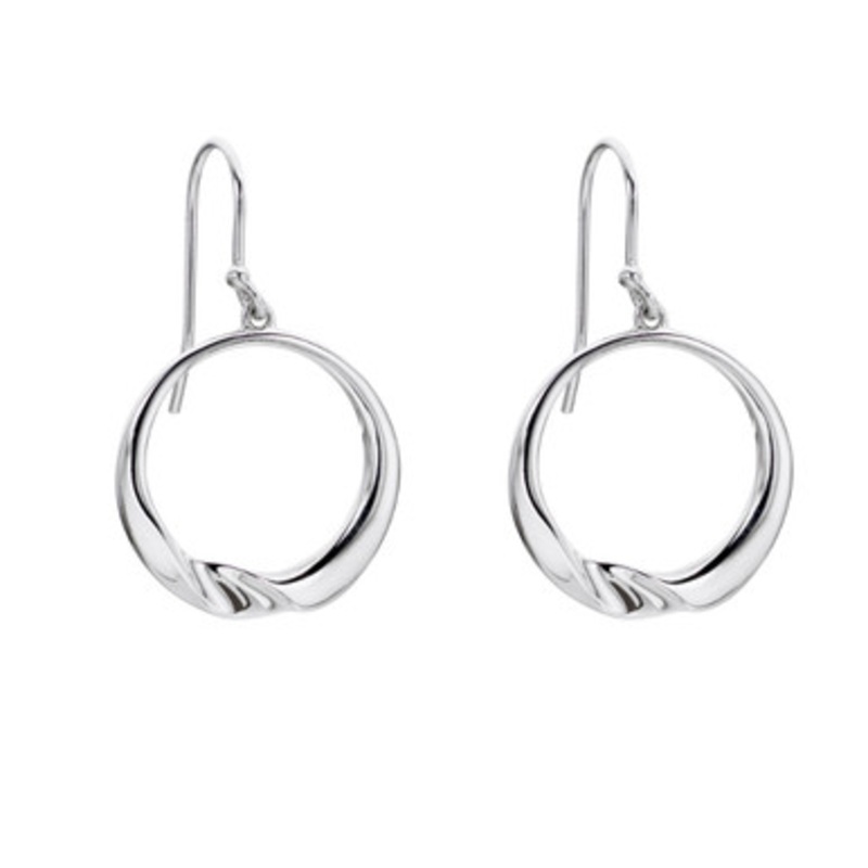 Circle Drop Earrings [2YSEA1969]