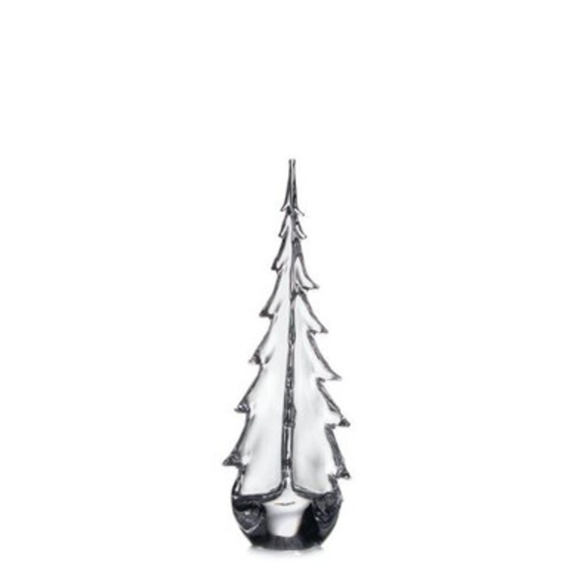 Vermont Evergreen Tree 20 [8TREE0031]