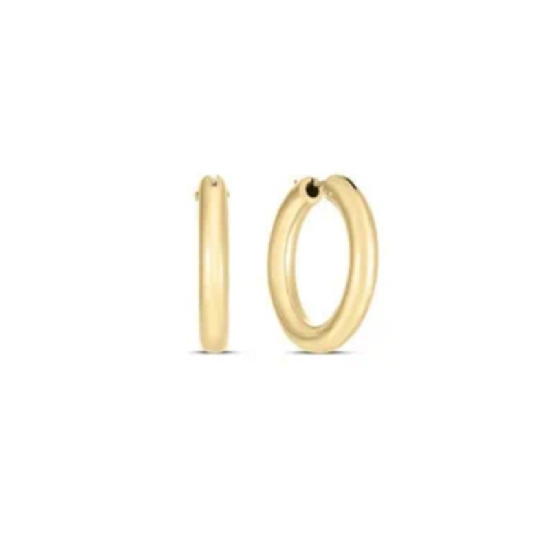 Designer Gold Hoop Earrings  [2EGHP0281]