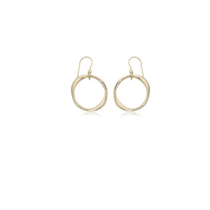 Circle Drop Earrings [2EGP23576]