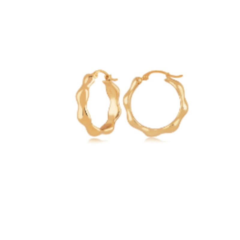 Small Wavy Hoop Earrings  [JEHOP0316]