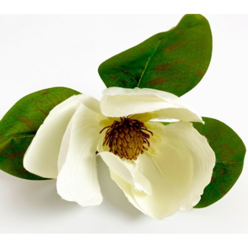 White Magnolia Ring [8TRNG0016]