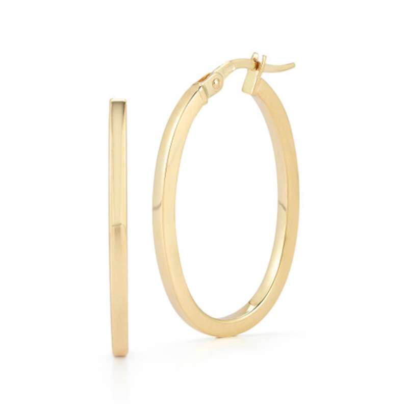 Designer Gold Hoop Earrings [2EGHP0022]
