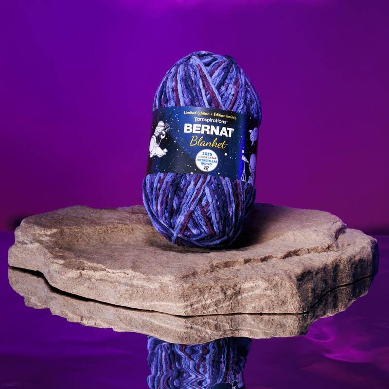 Bernat Blanket Color of the Year Yarn (1000G/35.3oz) – Sold Out