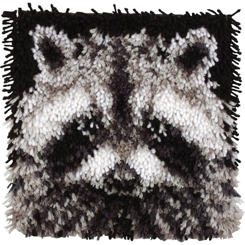 WonderArt Raccoon Kit 12 x 12, Discontinued items