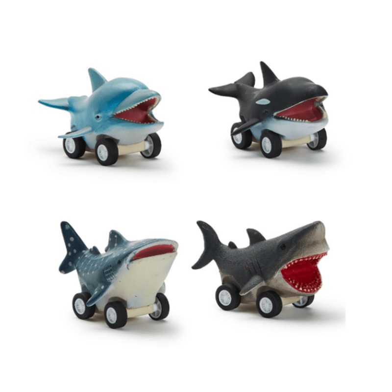 Reef Racers Fish Pull Back Toy (Assorted)