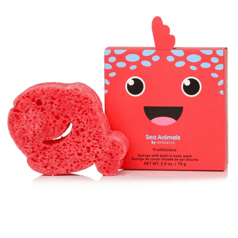 Sponge Animals – Fiona Fish