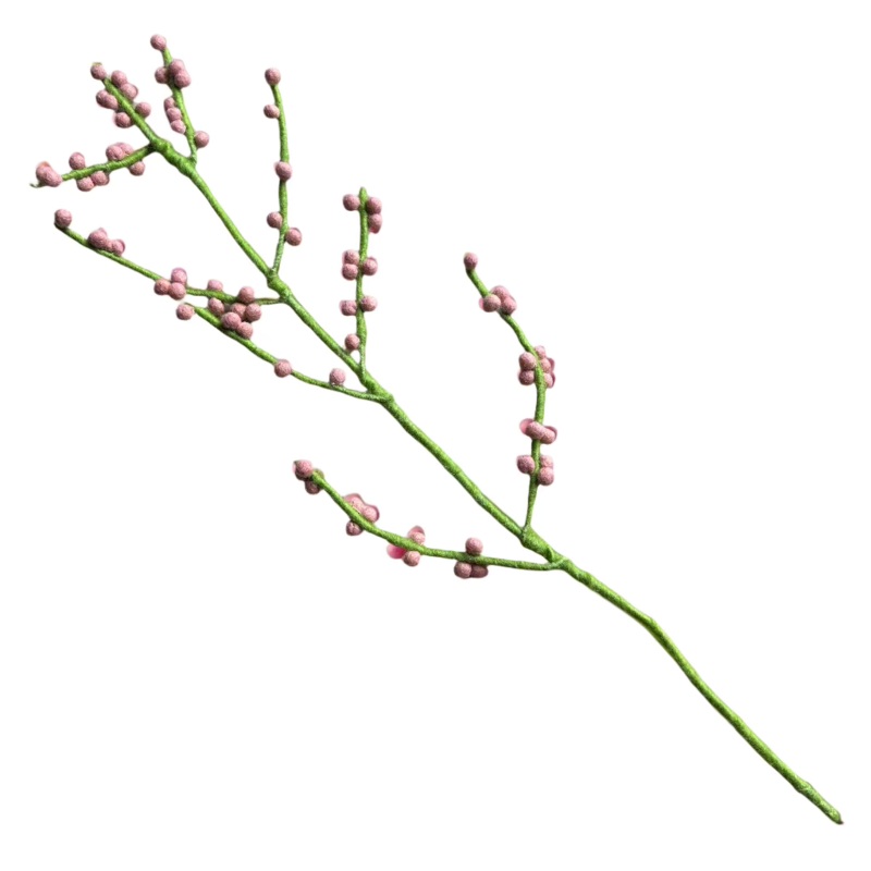 Berries Branch