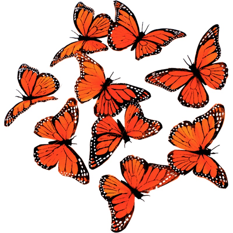 Monarch Butterfly Garland