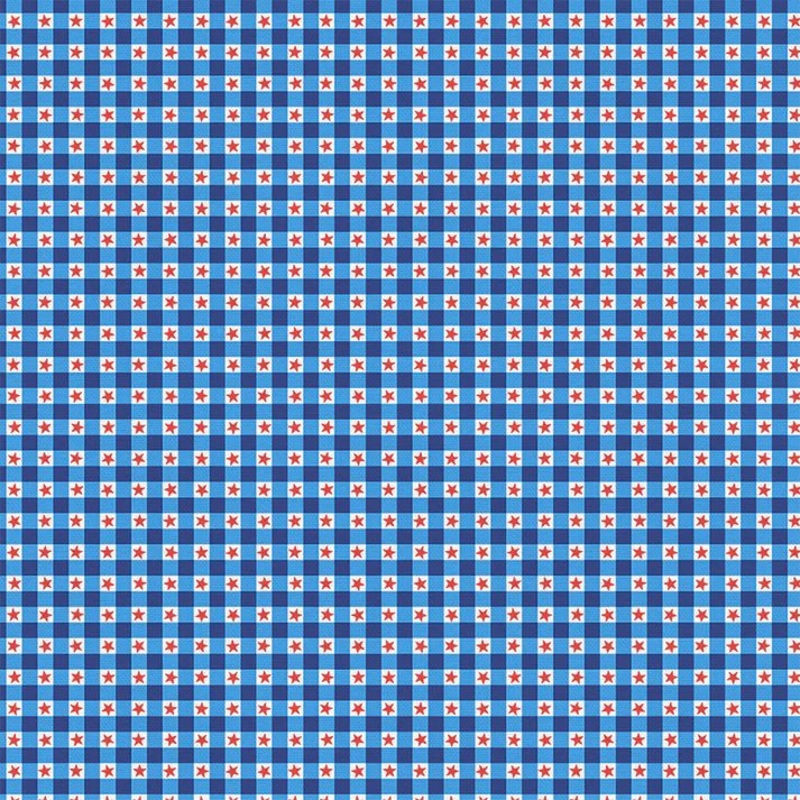 Star Spangled Summer / Star Plaid / Blue
