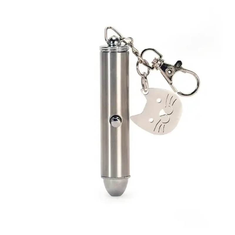 Rechargeable Laser Pointer Keychain