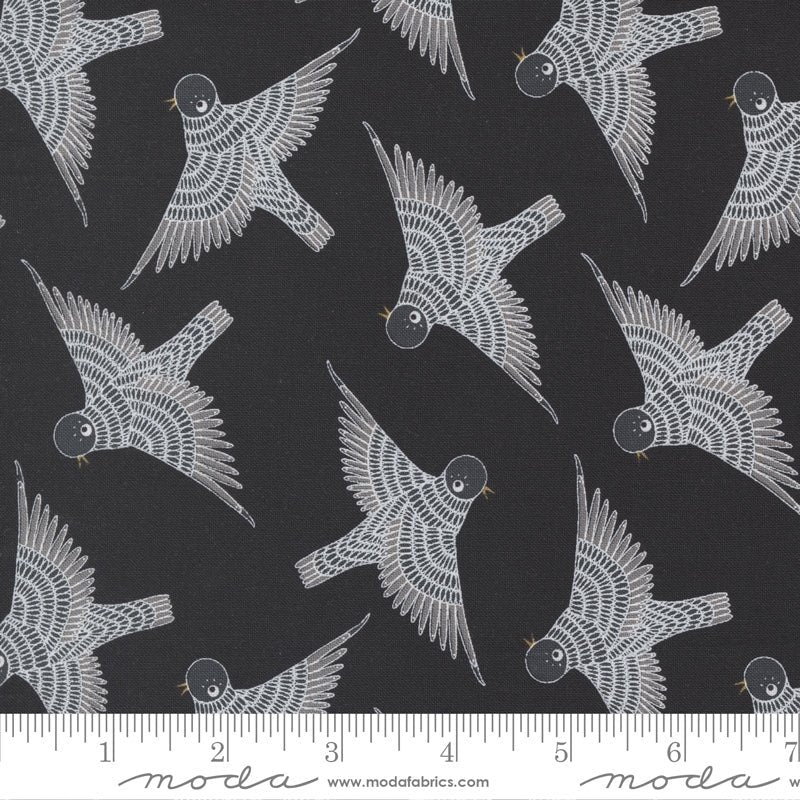 Birdsong / Birds In Flight / Raven