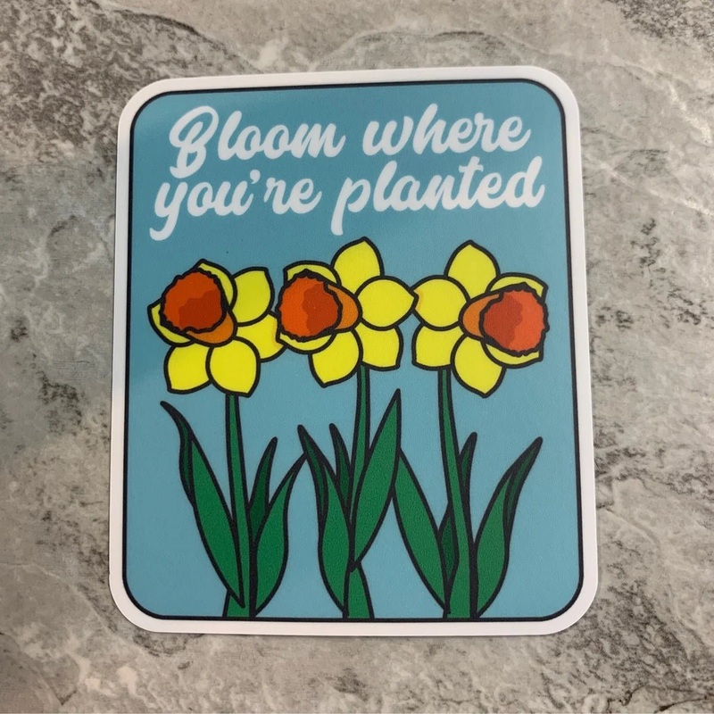 Daffodil Trio Sticker