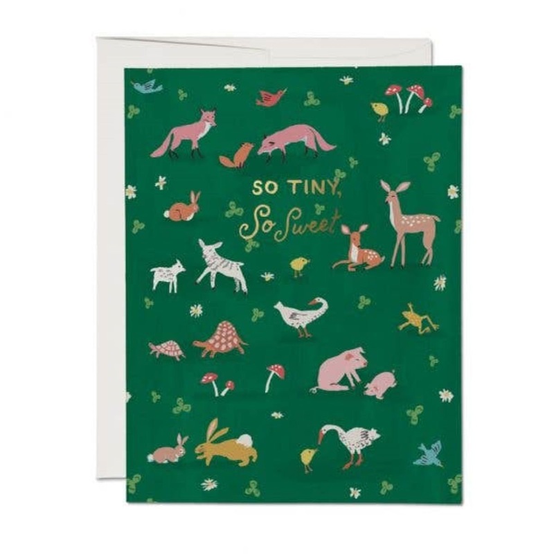 Tiny Animals Baby Card
