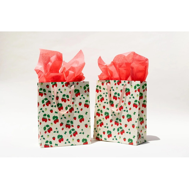Large Gift Bag